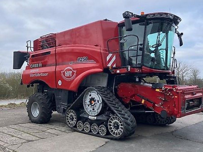 Mähdrescher: Case IH Axial-Flow 8250 ST5 gebraucht Case IH Axial-Flow 8250 ST5