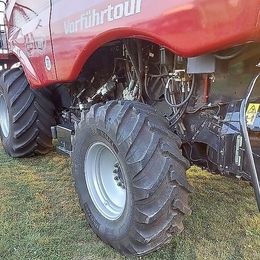 Mähdrescher: Case IH Axial-Flow 6150 inkl. Schneidwerk 7,62 m und Wagen gebraucht Case IH Axial-Flow 6150 inkl. Schneidwerk 7,62 m und Wagen
