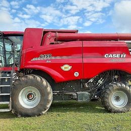 Mähdrescher: Case IH Axial-Flow 6150 inkl. 6,70 m Schneidwerk und Wagen gebraucht Case IH Axial-Flow 6150 inkl. 6,70 m Schneidwerk und Wagen